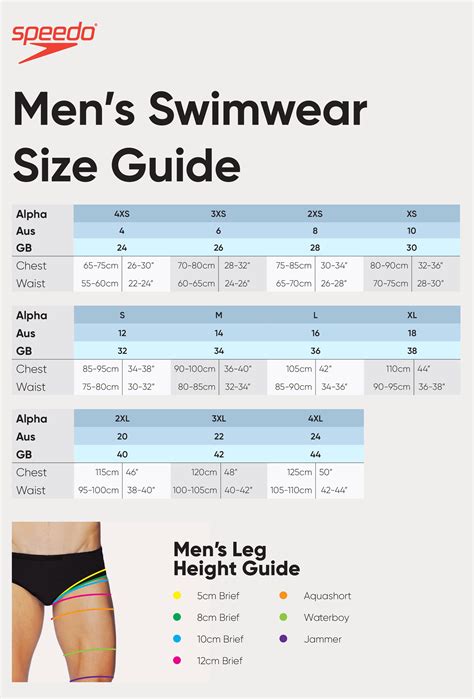 speedo bathing suit size guide.